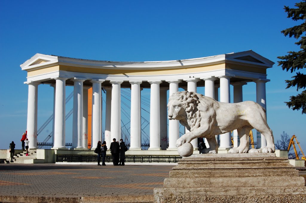 The lion: swallowing the column