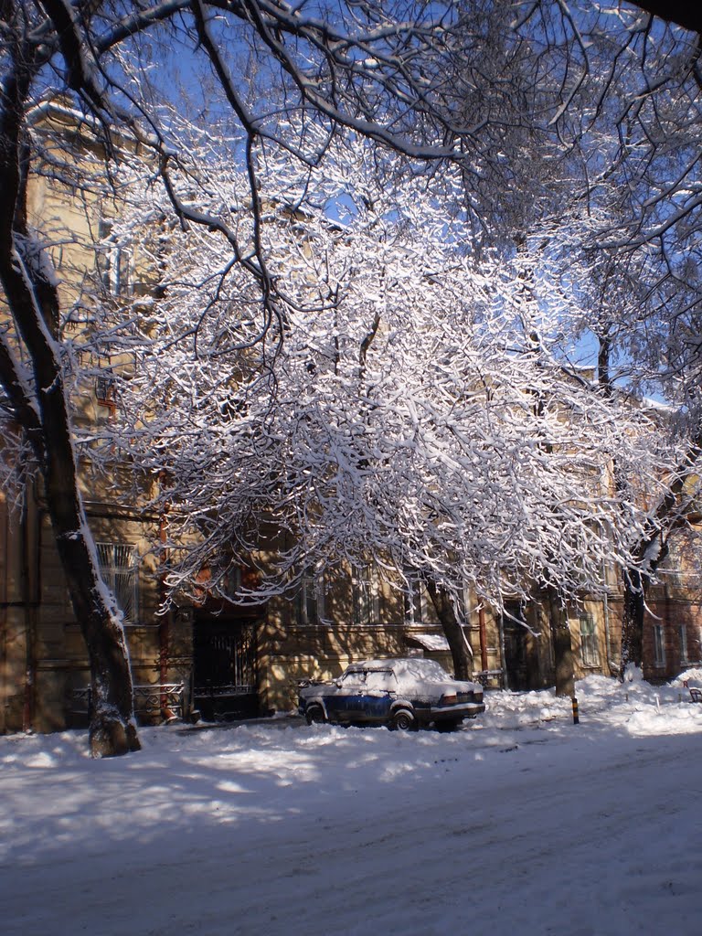 Красота