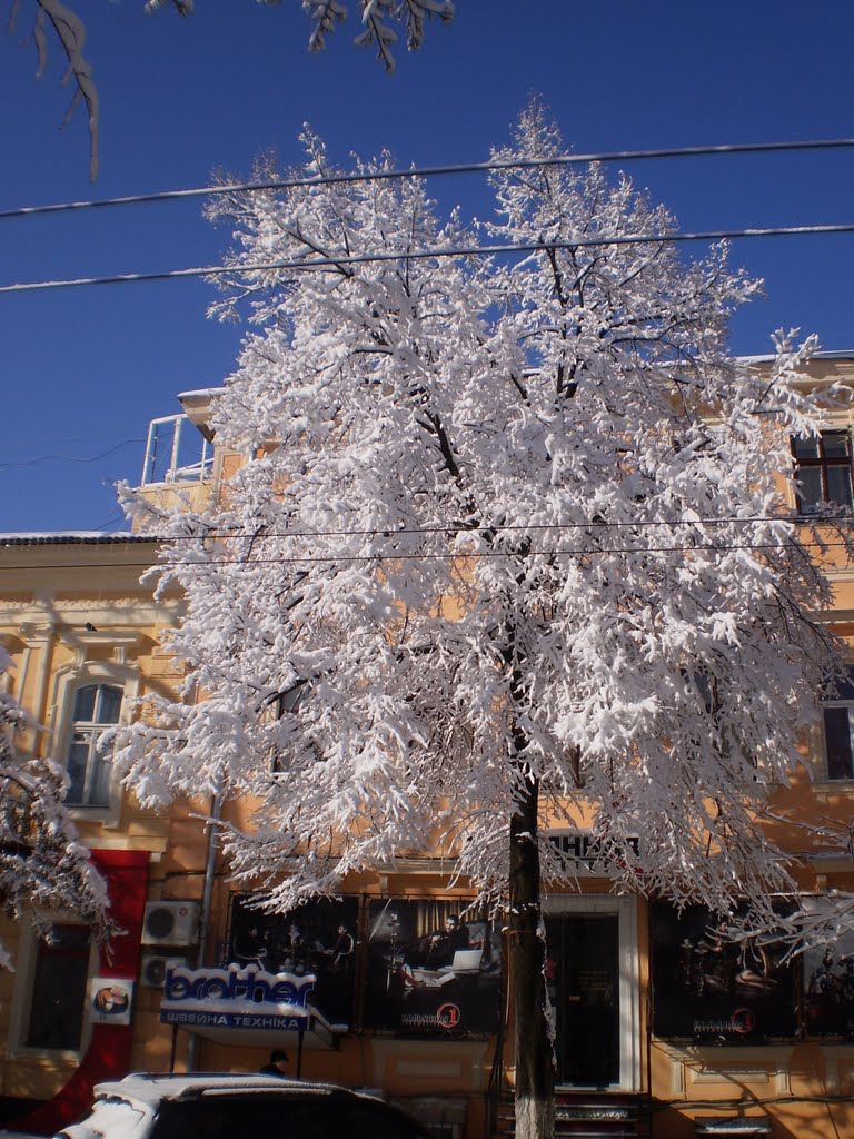 Узорчатое дерево