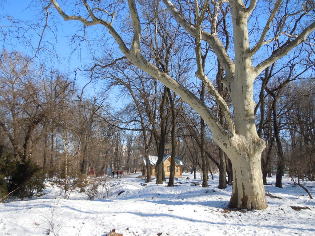 In the Preobrazhensky Park (was 1st Christian Cemetery earlier), Odessa