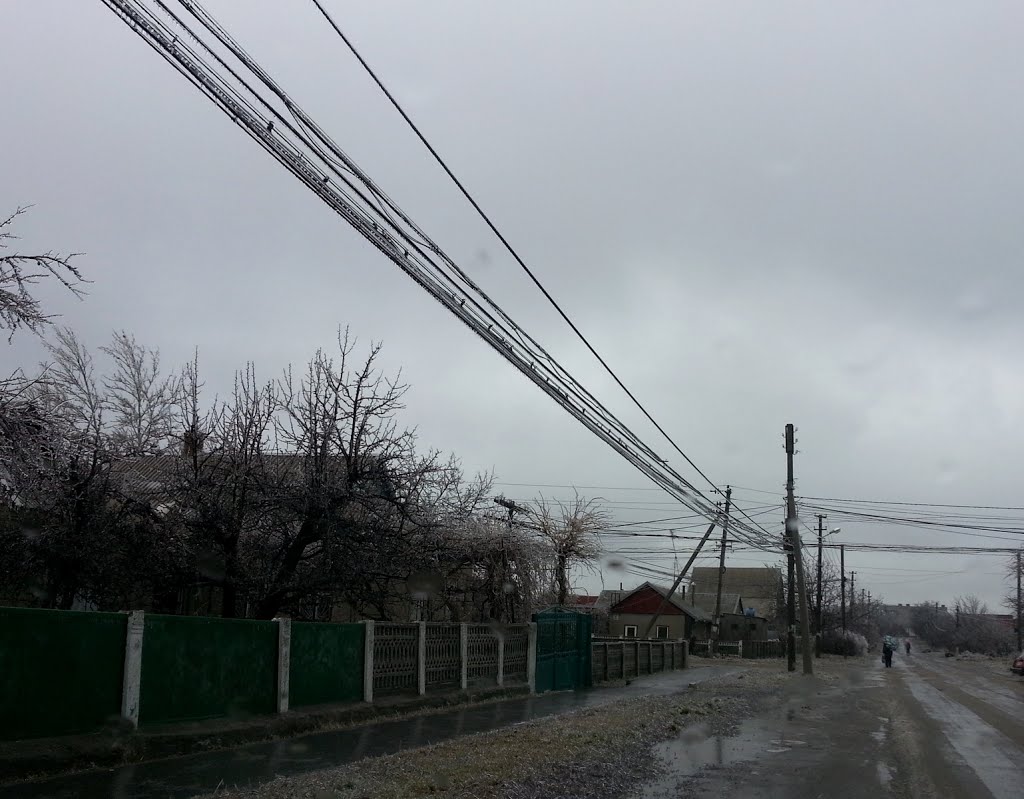 20140120 - Південна зима прийшла без запрошень;)