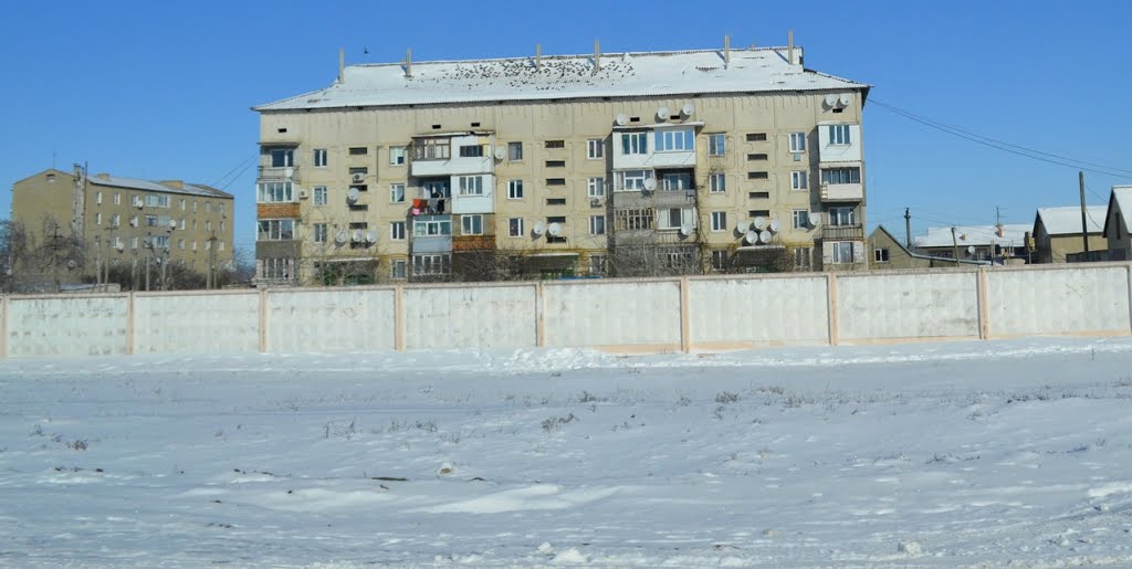 20140203_Зима, біла й пухнаста;)