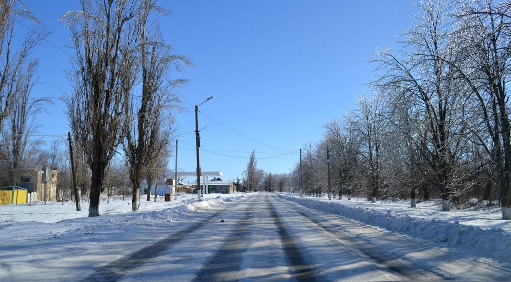 20140203_Зима, біла й пухнаста;)