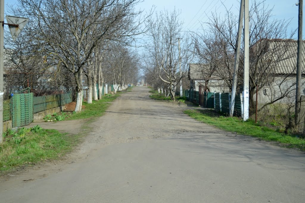 20140324 - Весна у Чобручі прийшла...
