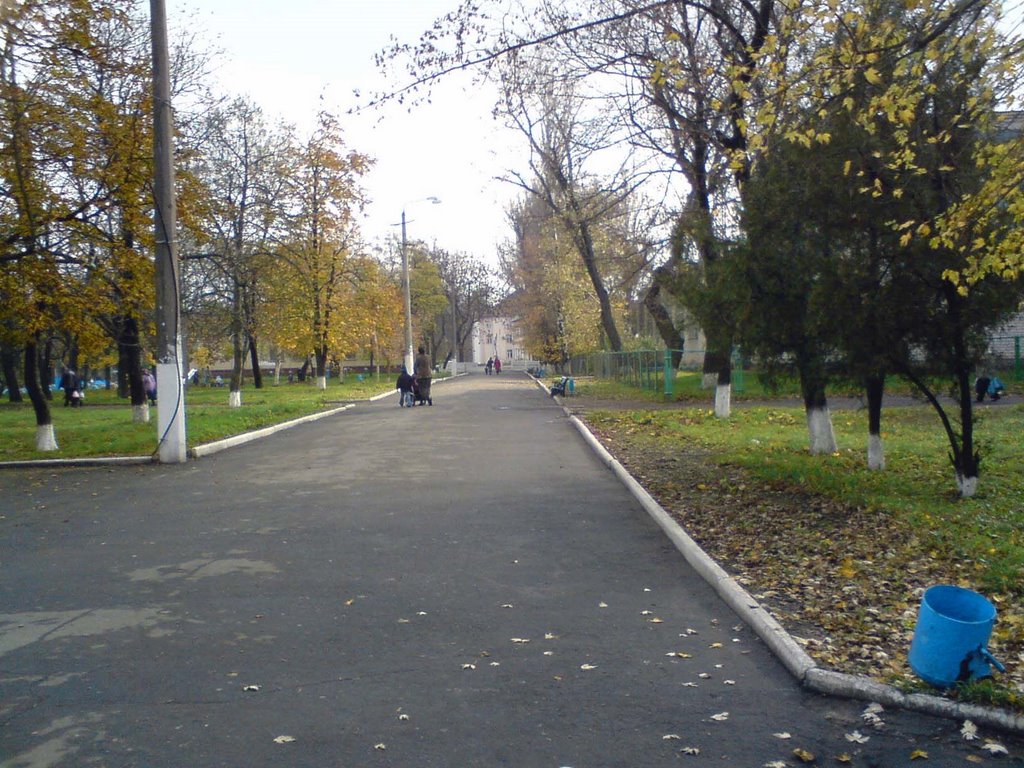 Прогулка в парке