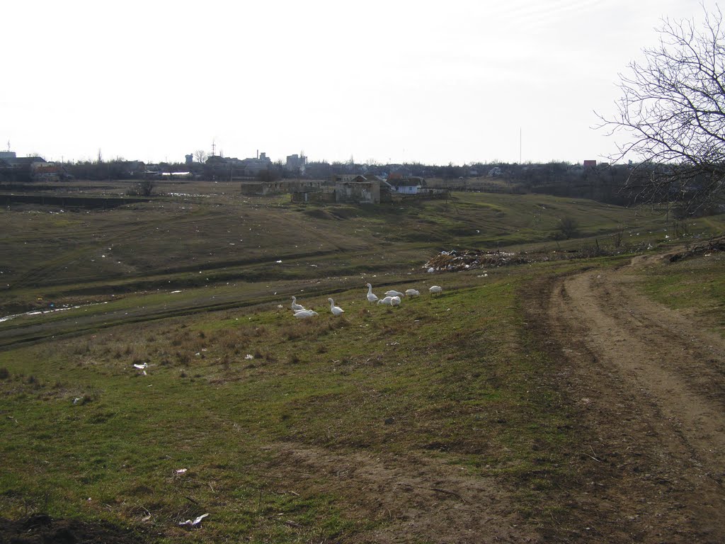 Окраина