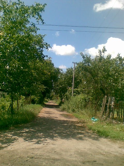 переулок Р-Шпака