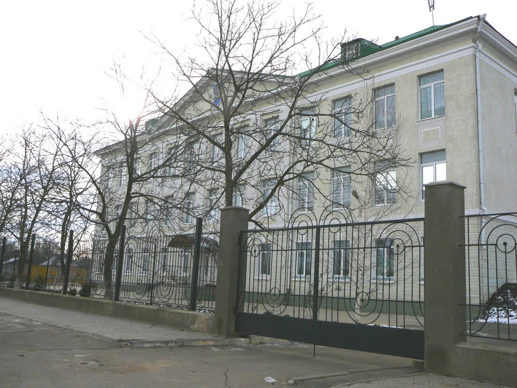 школа