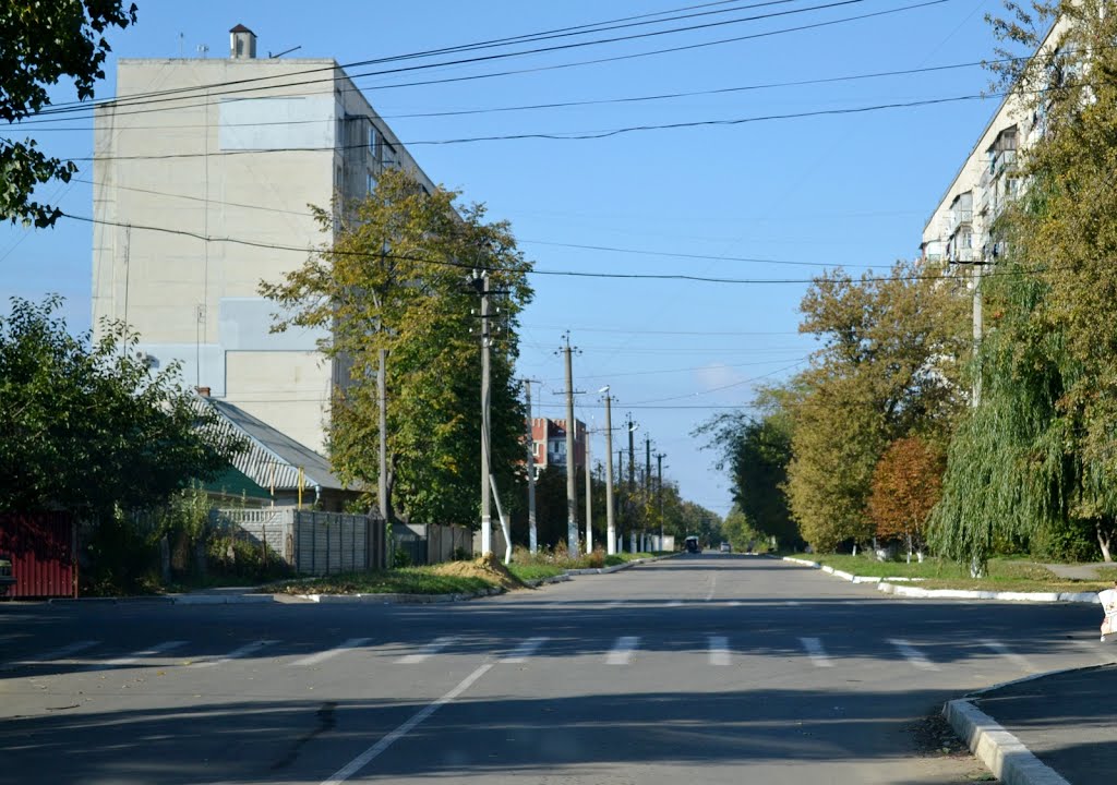 Котовського-Леніна кут/Lenin street - 20131006