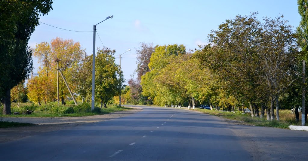 40 років Перемоги на виїзд... 201301006