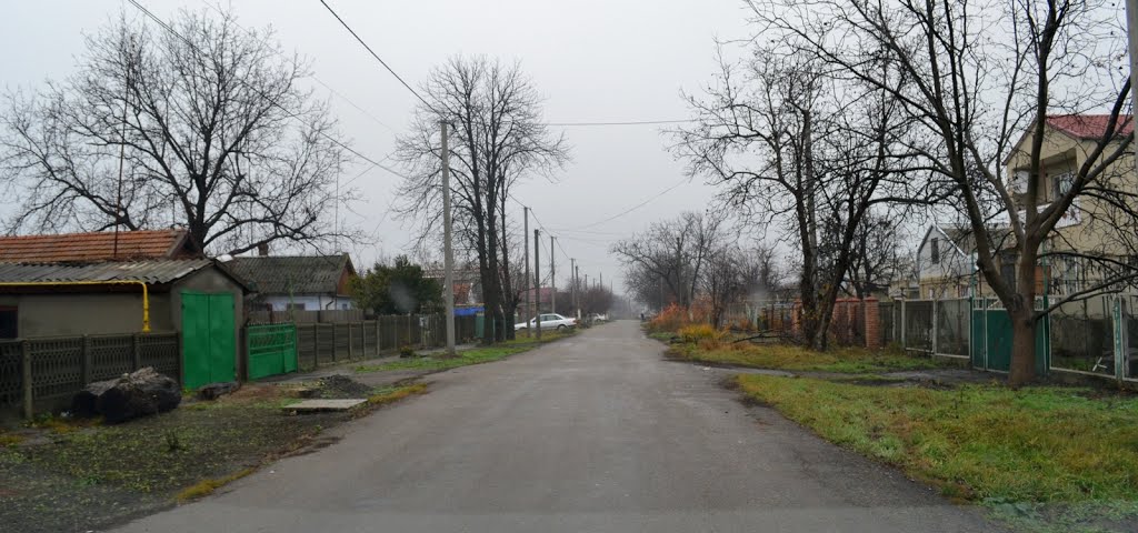 20131123-вул. Московська