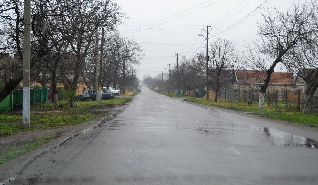 20131123-вул. Шевченка