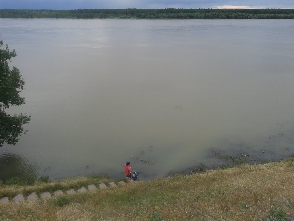 Danube.2