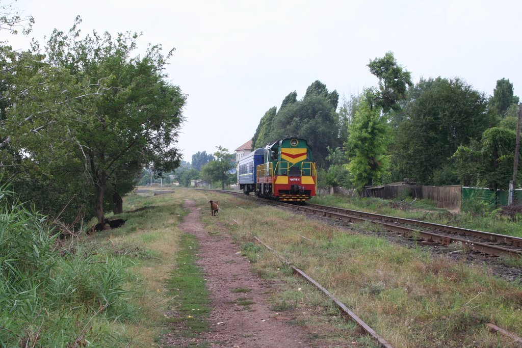 дизель
