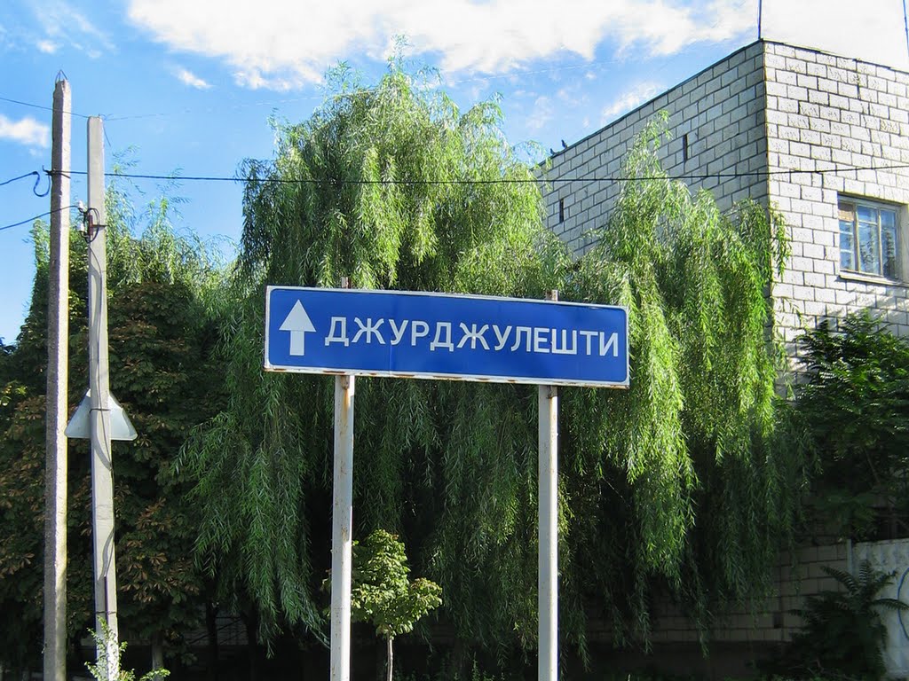 ►В Джурджулешты прямо