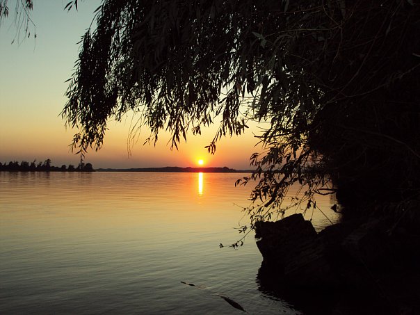 Sunrise Danube river