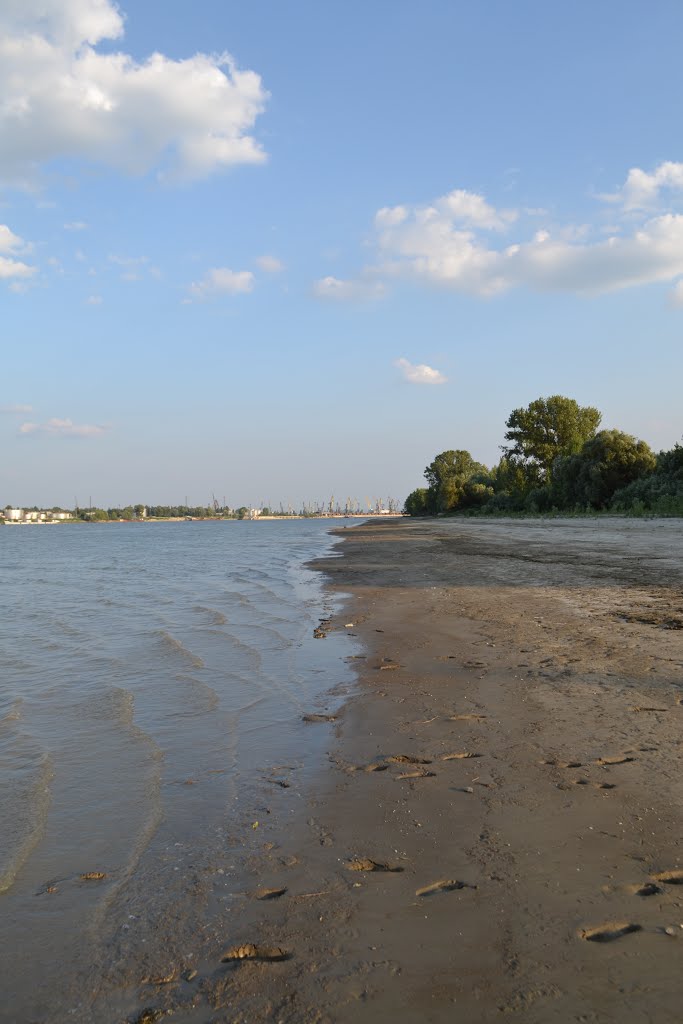 «Delta 2013» A part Renivel szemben / The shore on the opposite side of Рені(Reni) - 2013.08