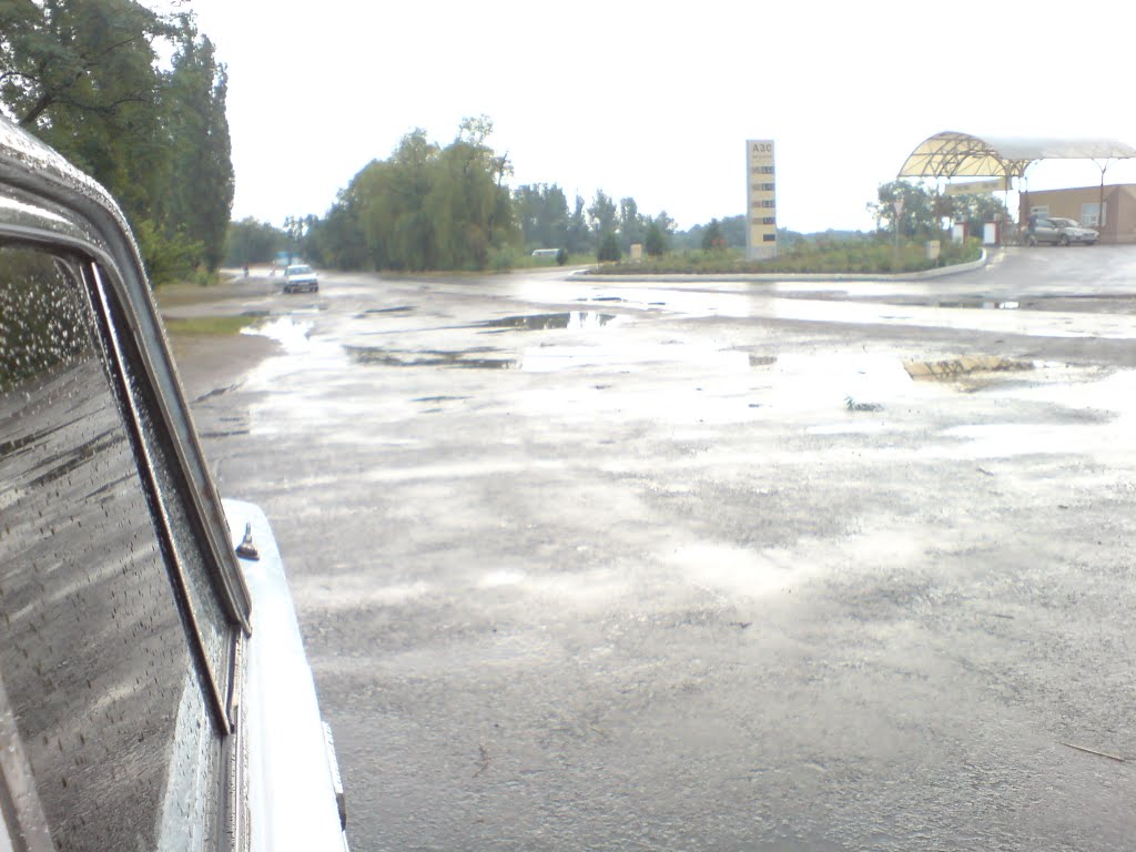 Сиеста