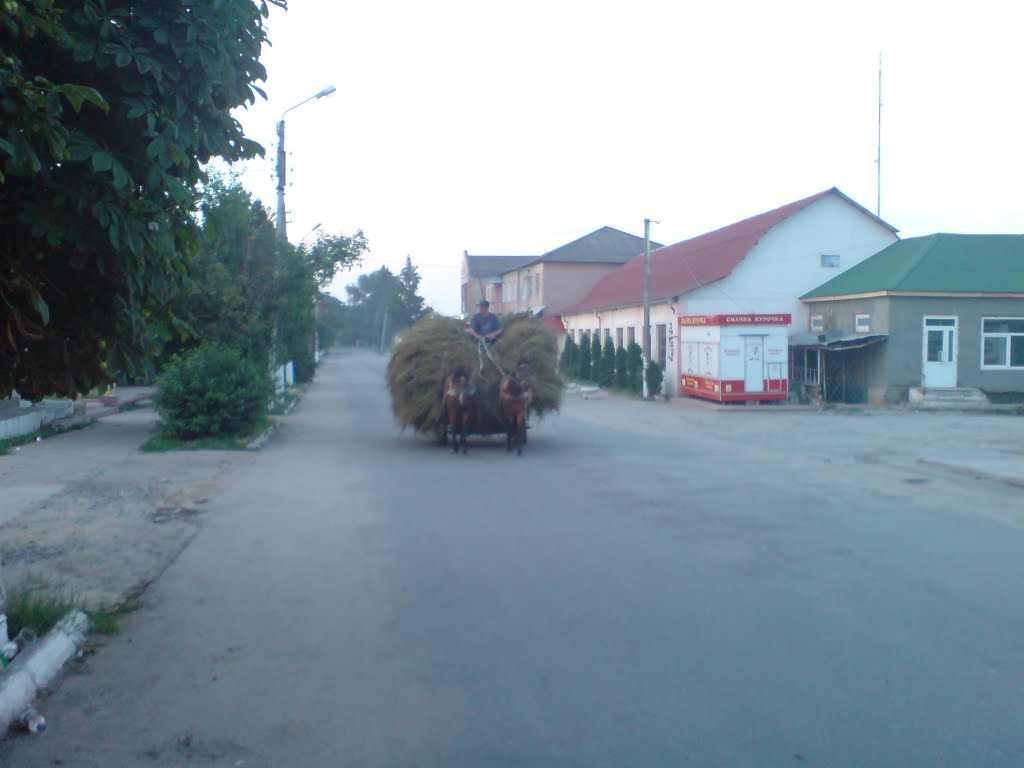 Калинина