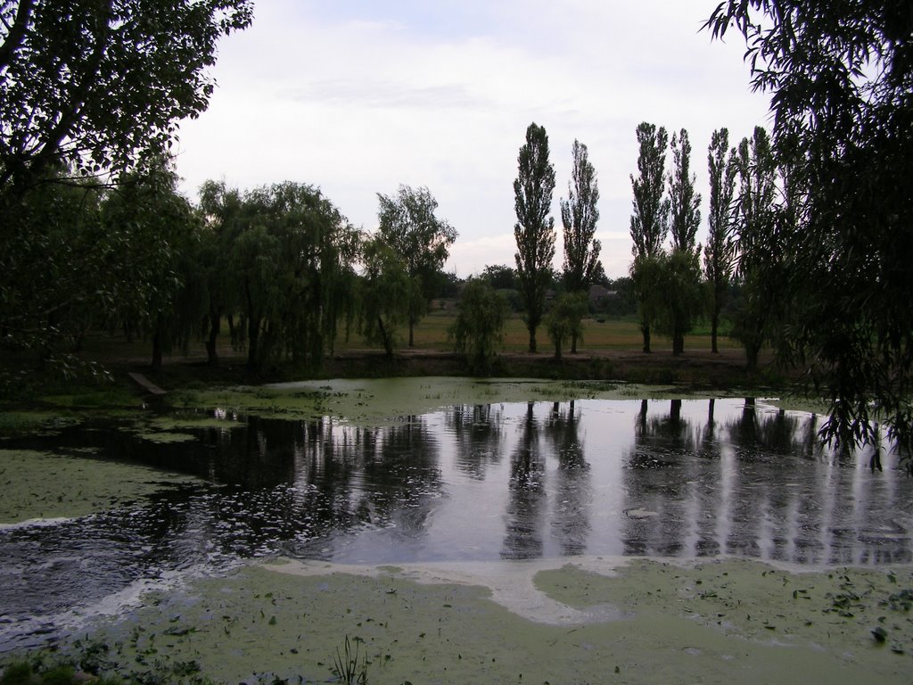 Саврань