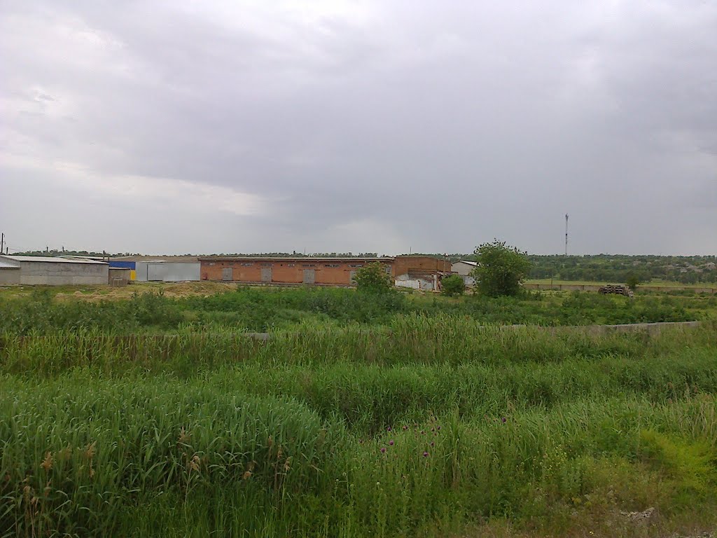 Химия
