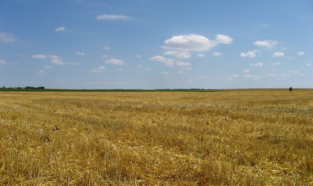 Урожай собран! 29/06... The crop is collected!