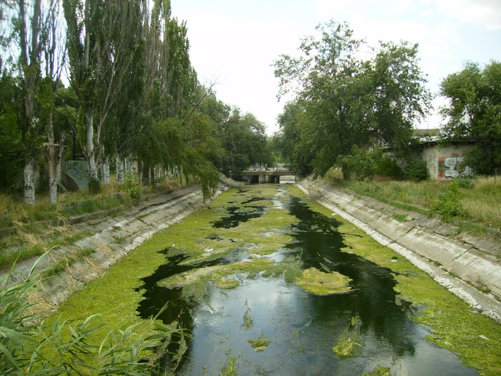 Фонтанка лето