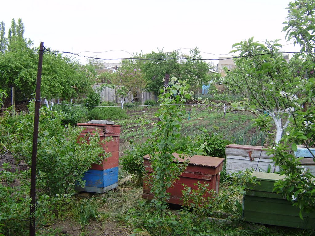 огород Энгельса,30