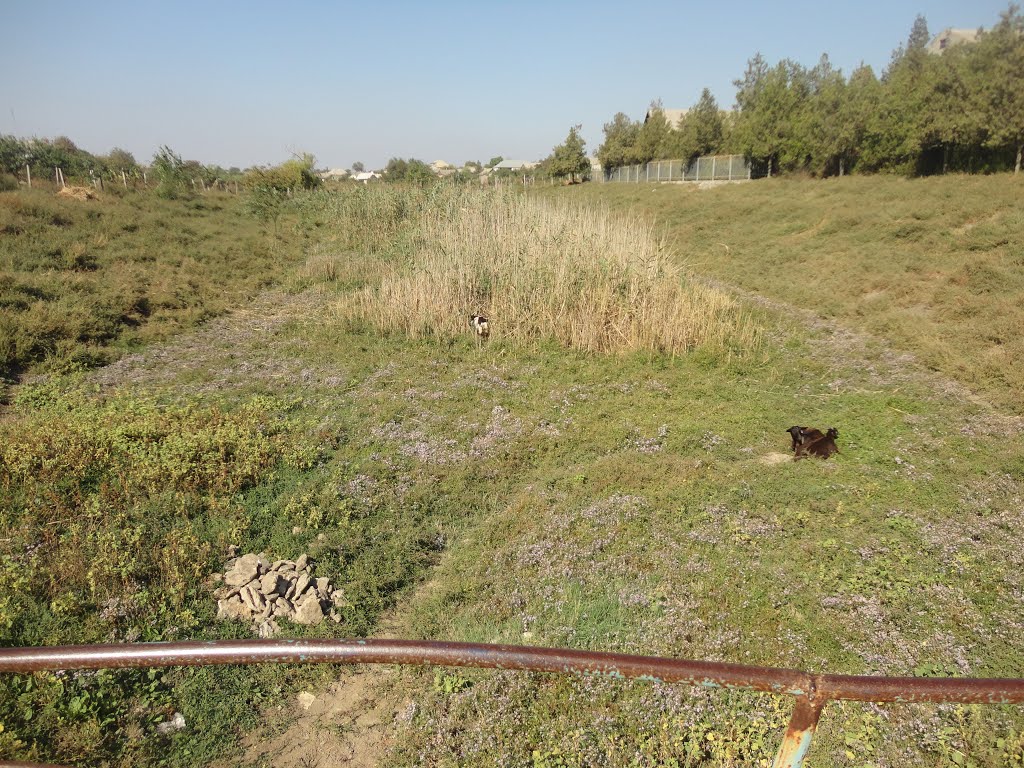 Здесь была речка