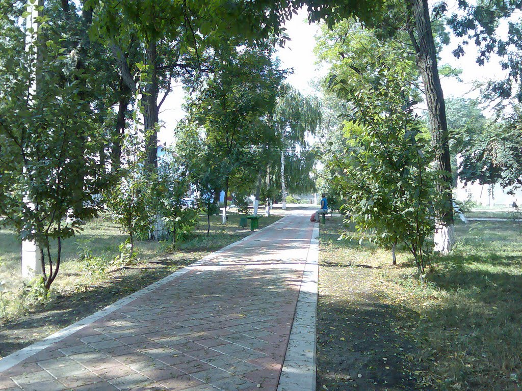 Центральна Алея в Парку