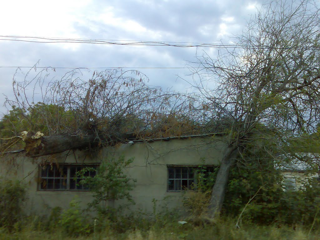 ТОВ АВАНГАРД