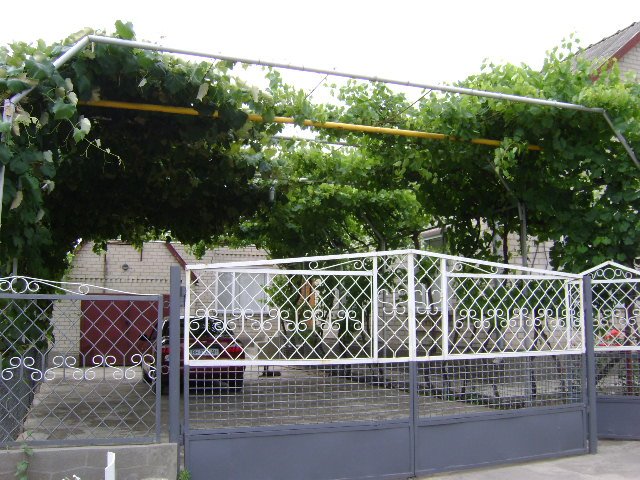 одесса