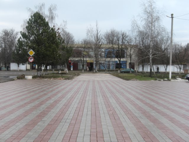 Дом быта