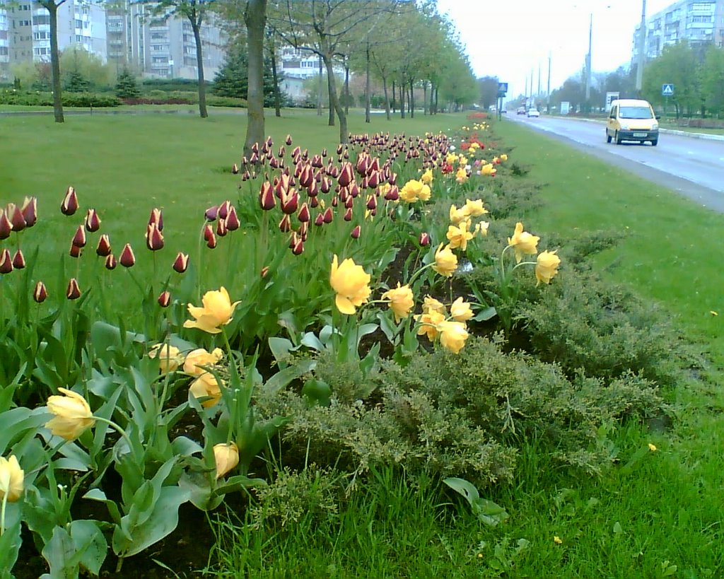 Весна в Южном