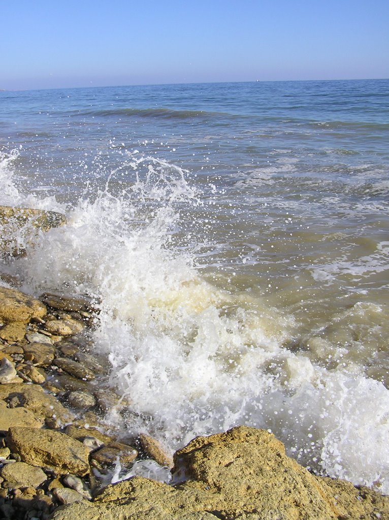 Хвилі Чорного моря