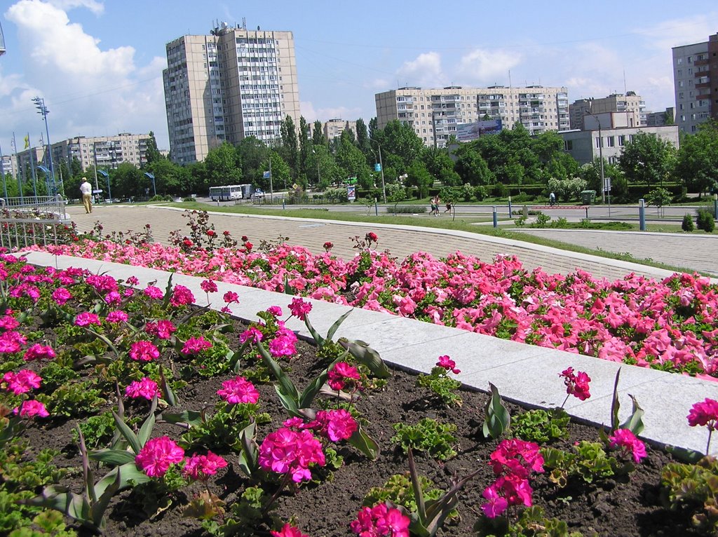 Квіти м.Южного