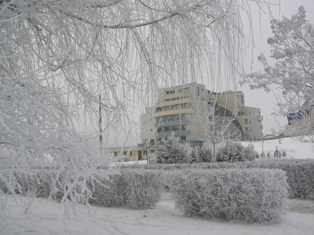 Рояль в кущах