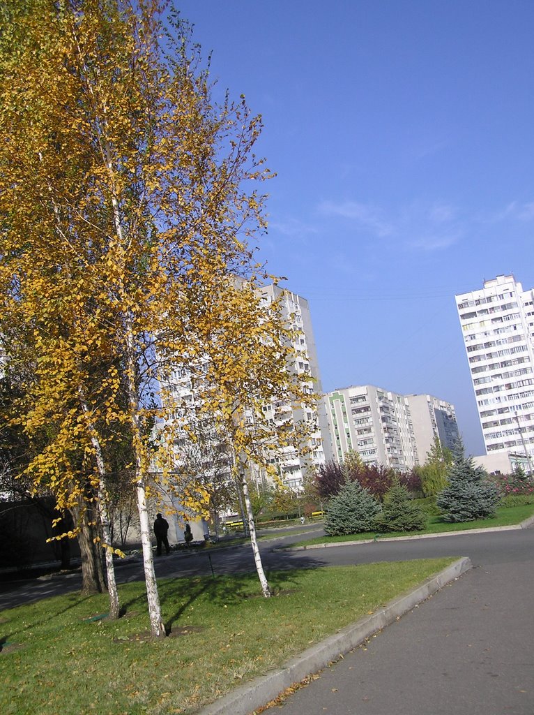 Молоде м.Южне