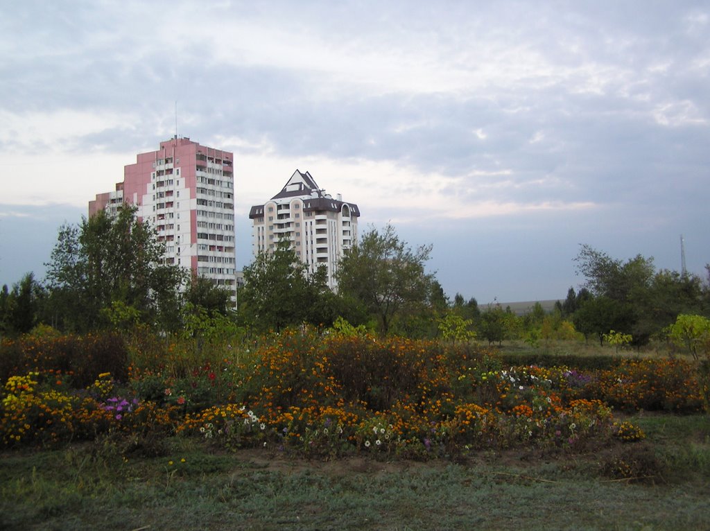 Новачки