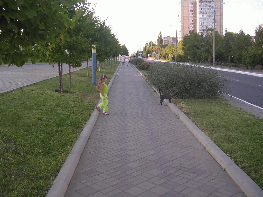 Улица возле спорткомплекса.