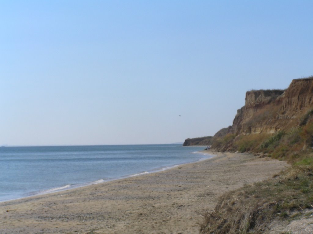 PA070569