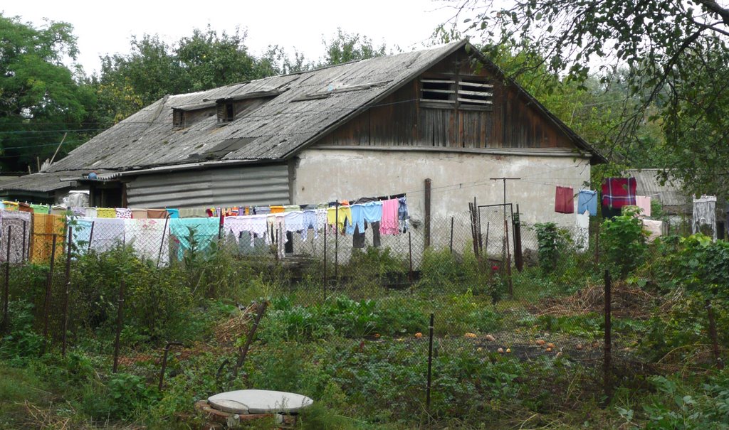 Білики