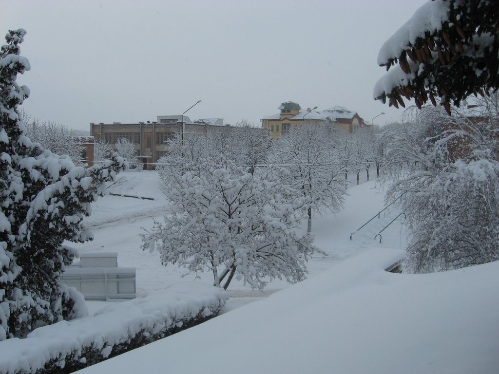 Центр