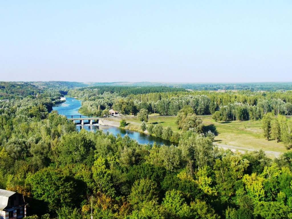 В.Багачка