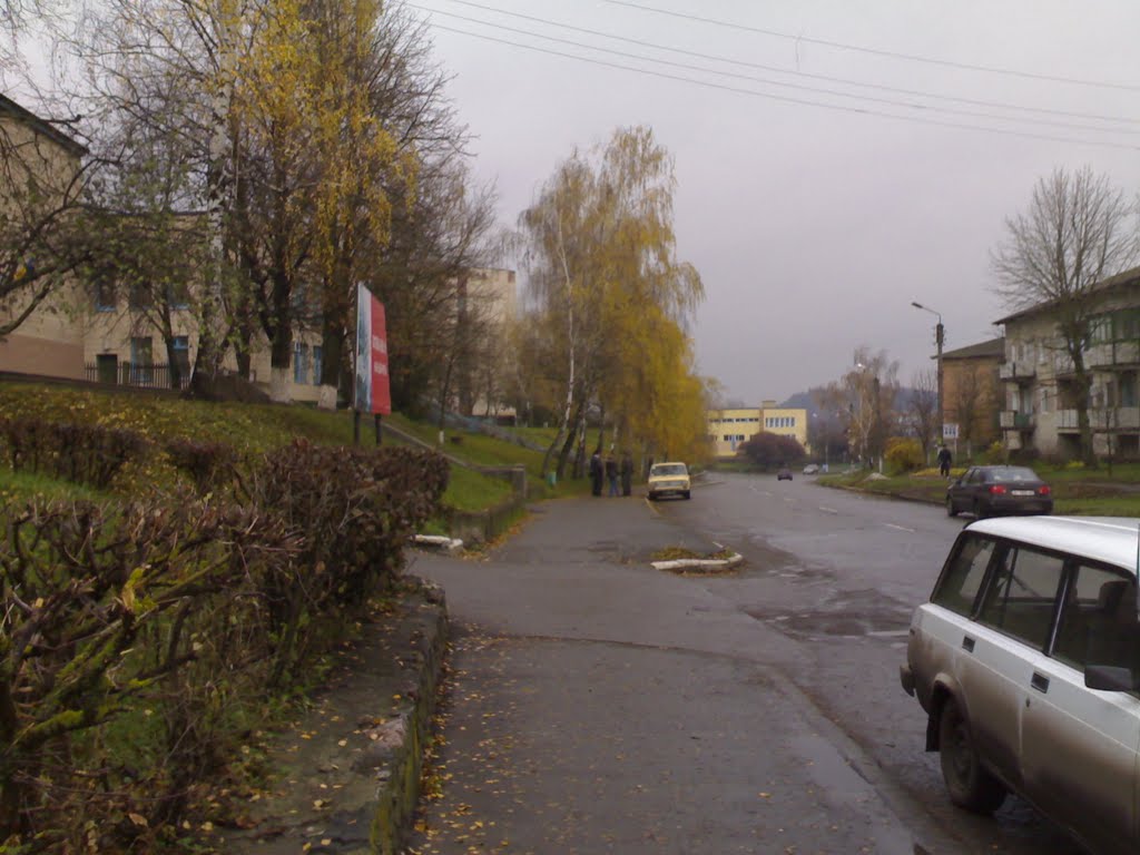 Велика Багачка,осінь 2009