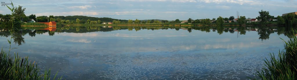 Панорама на ставок в В.Багачці