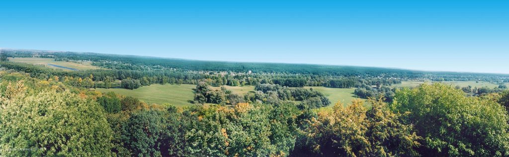 Panorama: Psel river
