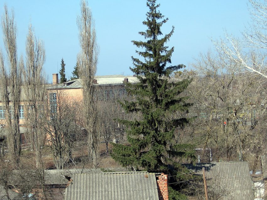 Вид на 1 школу