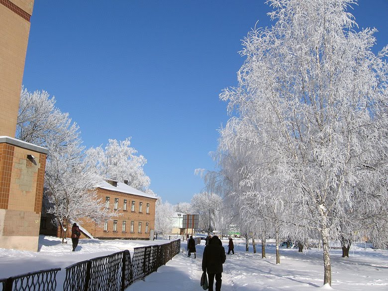 возле ЦРЛ 2011