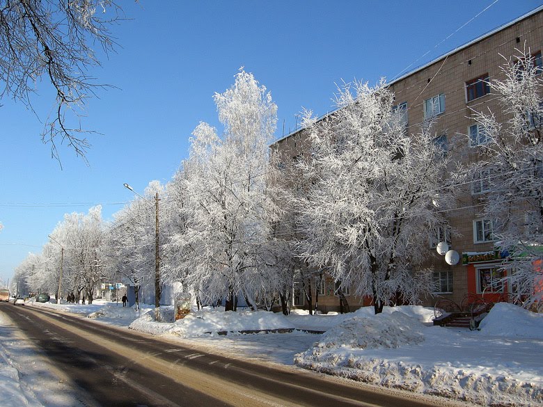 ул. 50 лет Октября 2011
